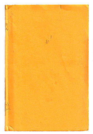 the cover of the yellow book